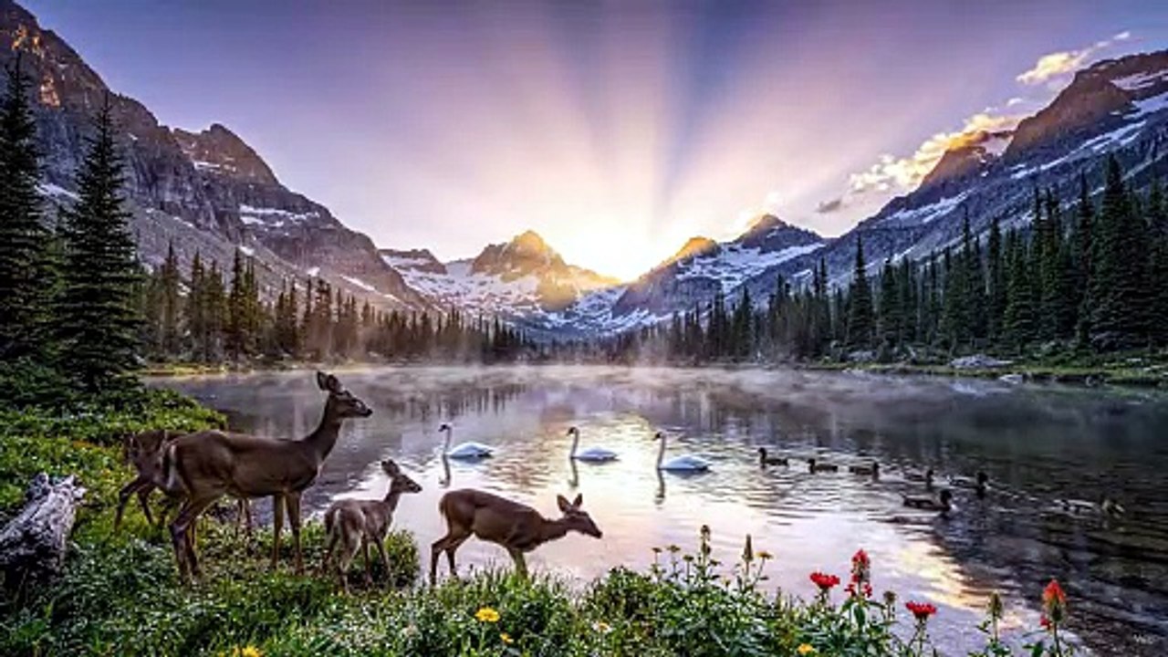🌄 Peaceful Mountain Lake Sunrise  Relaxing Nature Sounds for Deep Sleep, Meditation & Stress Relief