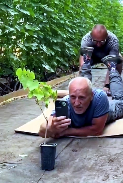 Filmez vos plantes comme un pro avec un carton et un assistant