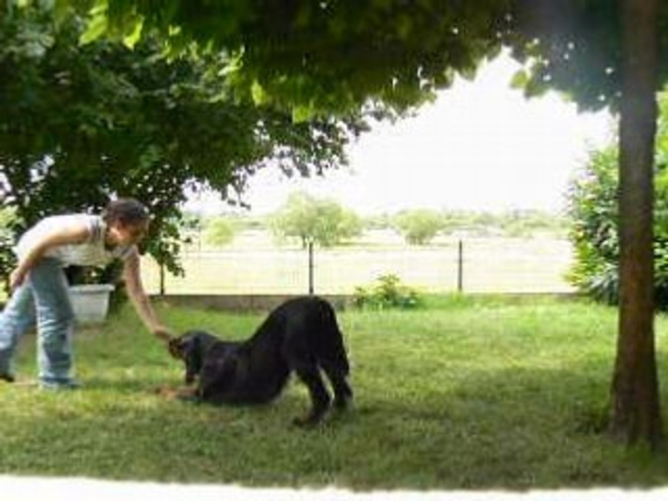 Alto obr jardin3