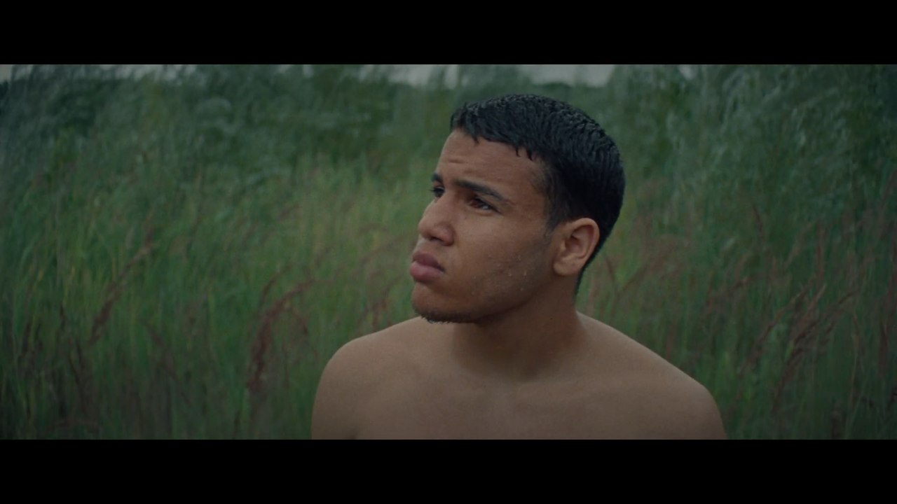 The Lights, They Fall - Trailer (Deutsch) HD