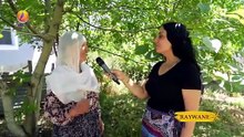 RAYWANE  - Ozlem Taş - Çewlig