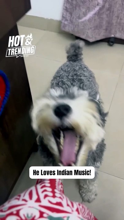 Schnauzer's Howls Bring New Life to Indian Music
