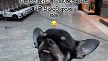 1000203199