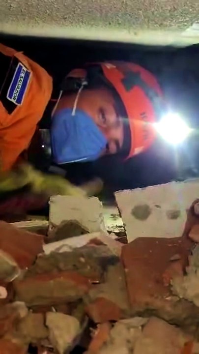 Cão resgatado cinco dias após sismos na Venezuela. Procura-se dono