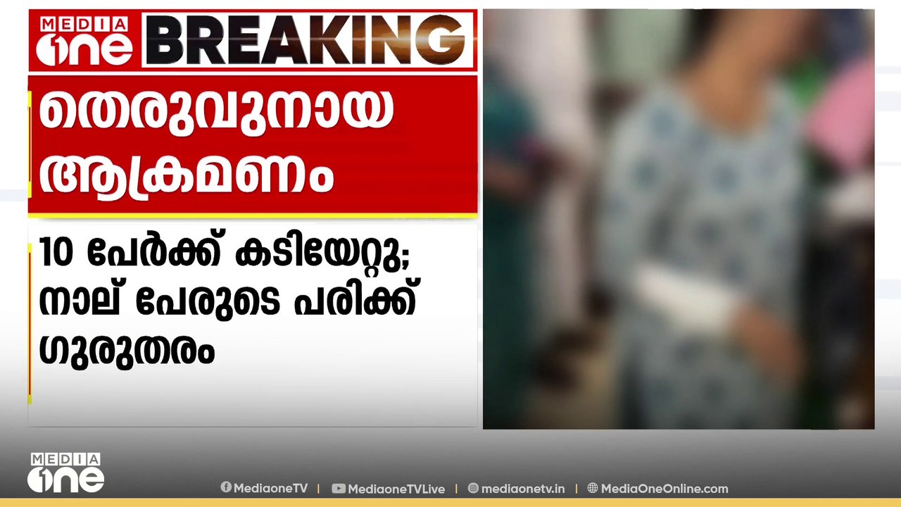 വടകരയിൽ തെരുവുനായ ആക്രമണം; 10 പേർക്ക് കടിയേറ്റു...