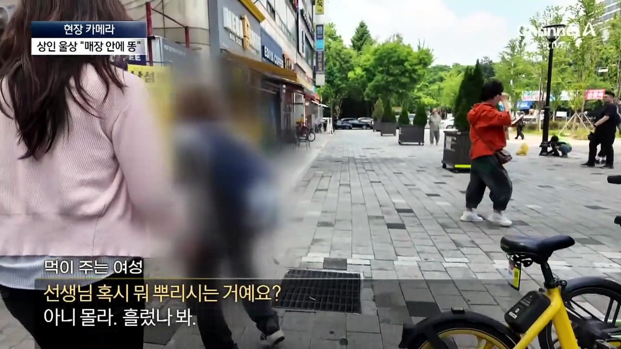 [현장 카메라]먹이 뿌리고 10초 만에 사라지는 비둘기맘