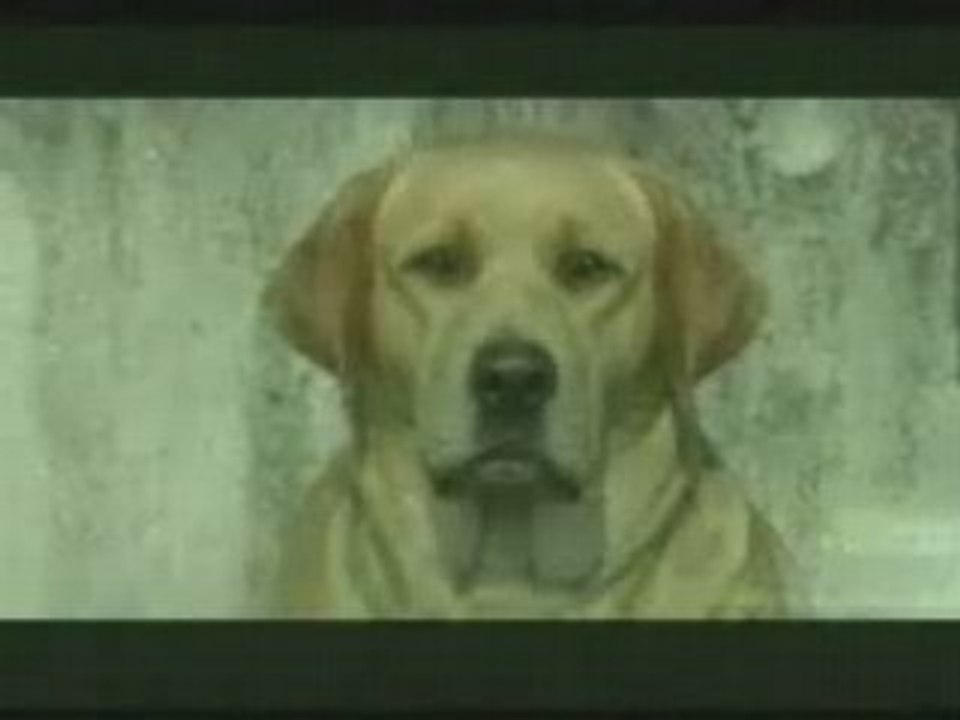 Dogs fucking all days_Perros follando xxx