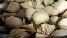 tamales en Cerrillos