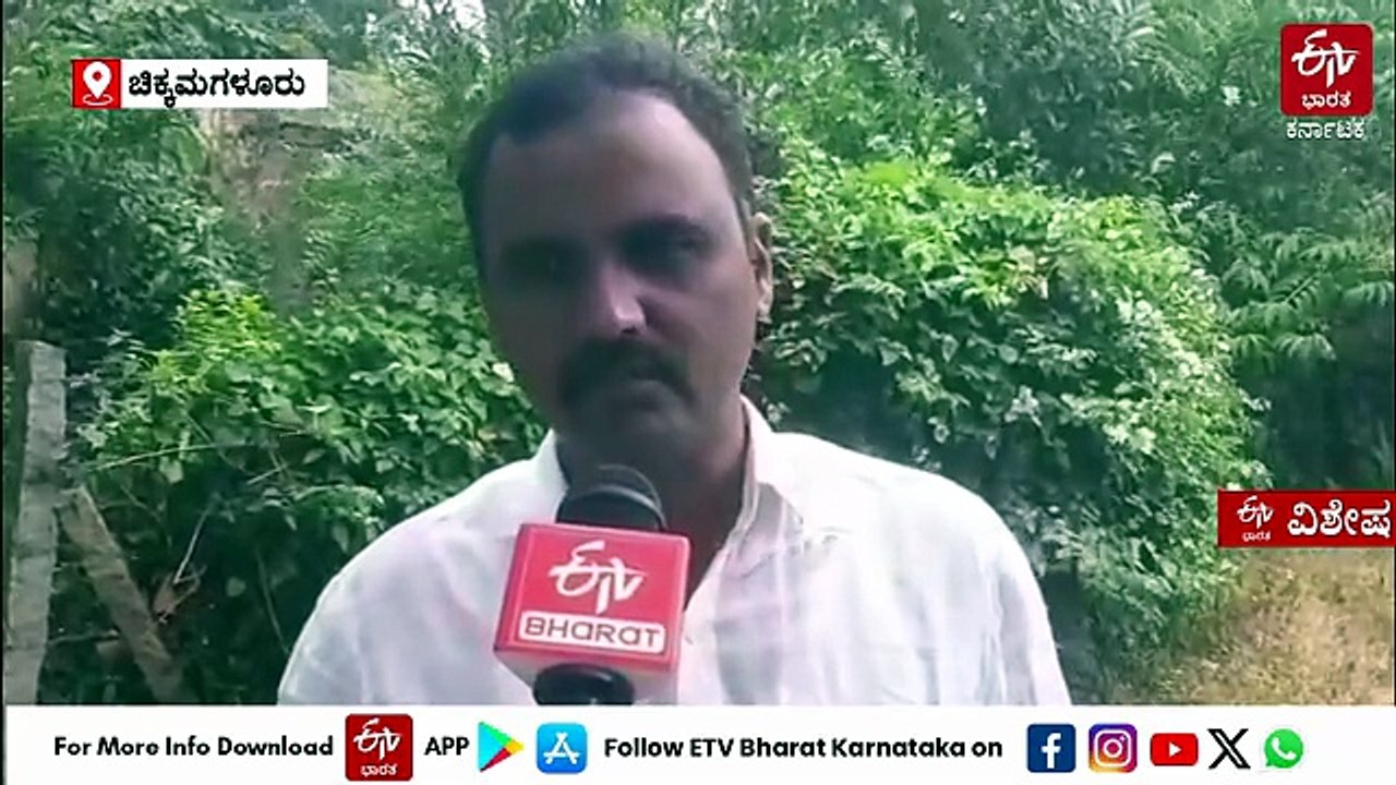 ನೇರಳೆ ಹಣ್ಣು ಆರೋಗ್ಯ, ಪರಿಸರ, ರೈತರ ಆದಾಯಕ್ಕೂ ವರದಾನ: ಈ ಬಾರಿಯ ಉತ್ತಮ ಬೆಳೆ ಬರಗಾಲದ ಮುನ್ಸೂಚನೆಯಾ?