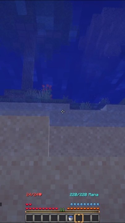 Jour moin 29 avant la sortie de mon serveur minecraft Nolvacraft !