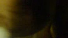 Veri hungry cat 1