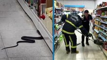 Kahramanmaraş'ta markete giren yılanı itfaiye çıkardı