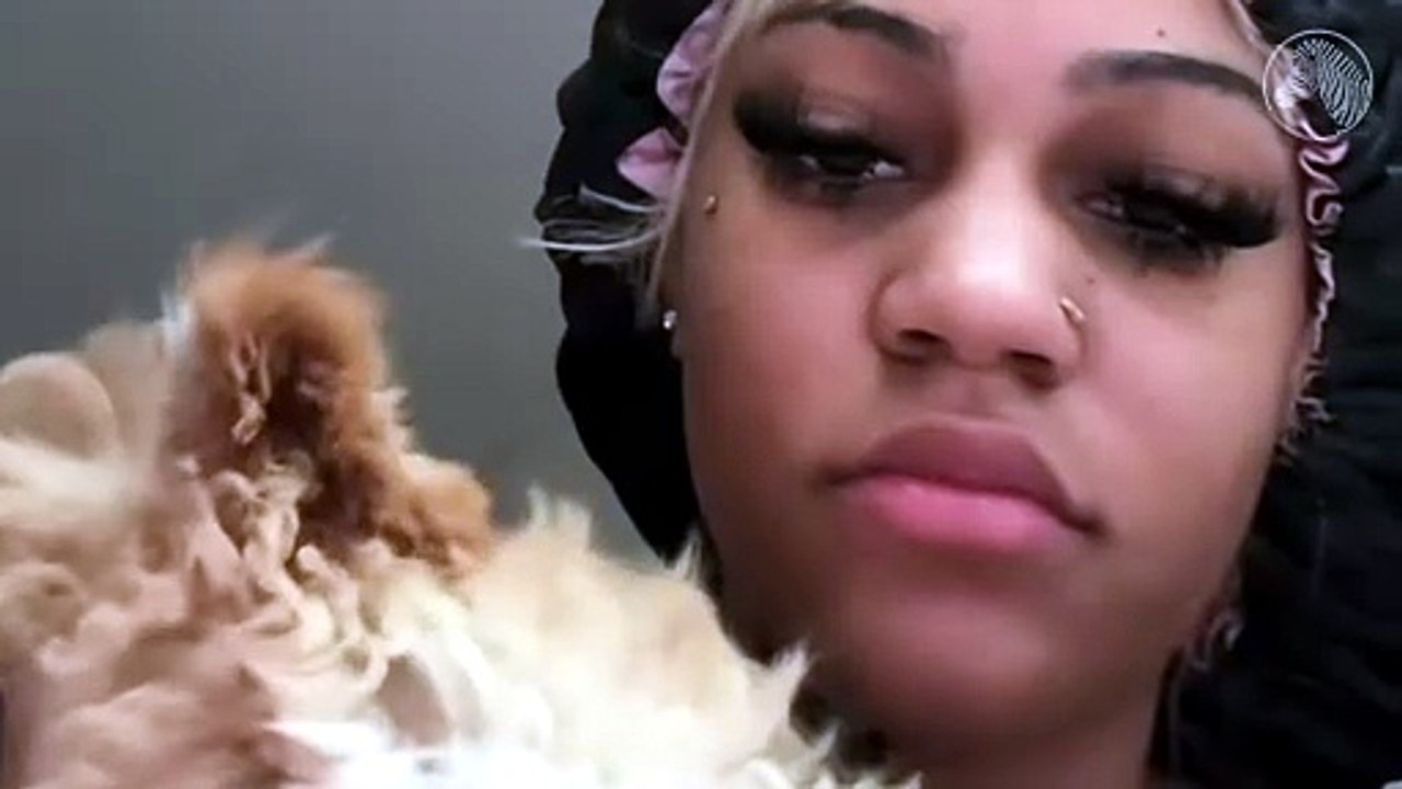 Aspen Kartier Under Fire for Alleged Dog Abuse