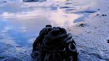 The Lugworm’s Mark