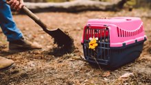 The Case Against Backyard Pet Burials: Safer Alternatives to Consider