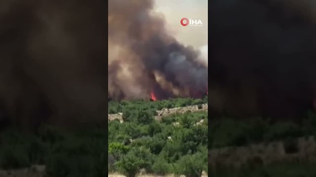 İzmir'de makilik alandaki yangına müdahale sürüyor