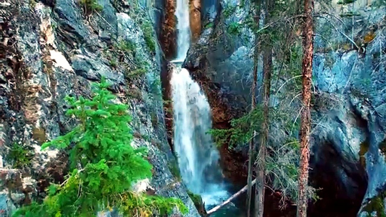 _Relaxation en Nature _ Musique Apaisante et Sons de la Forêt pour Se Détendre et Réduire le Stress_