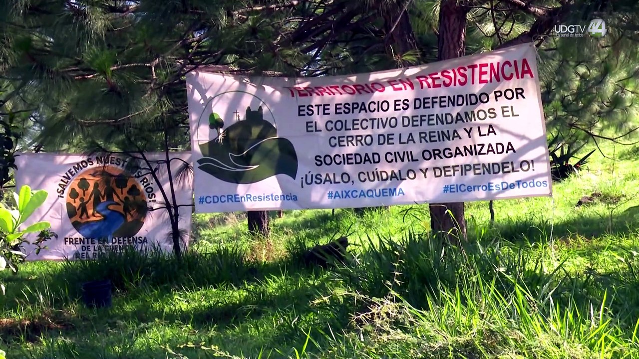 Reforestan el Cerro de la Reina con especies nativas