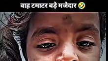 Funny videos