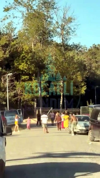 İzmit’te tehlike saçan ağaç: Evin üzerine yıkılabilir!