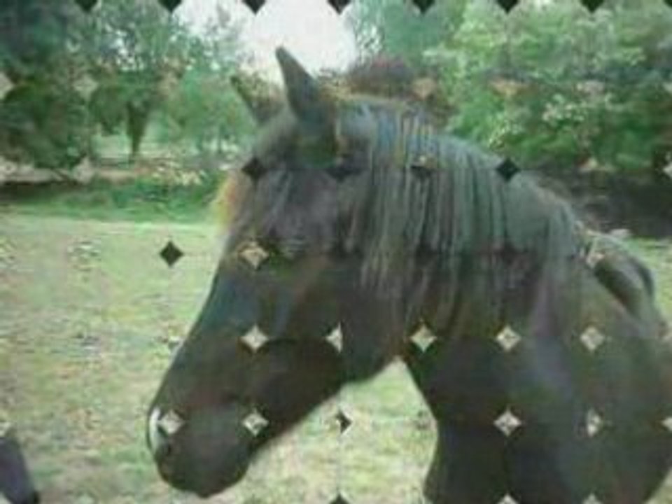 poneys de Grenade