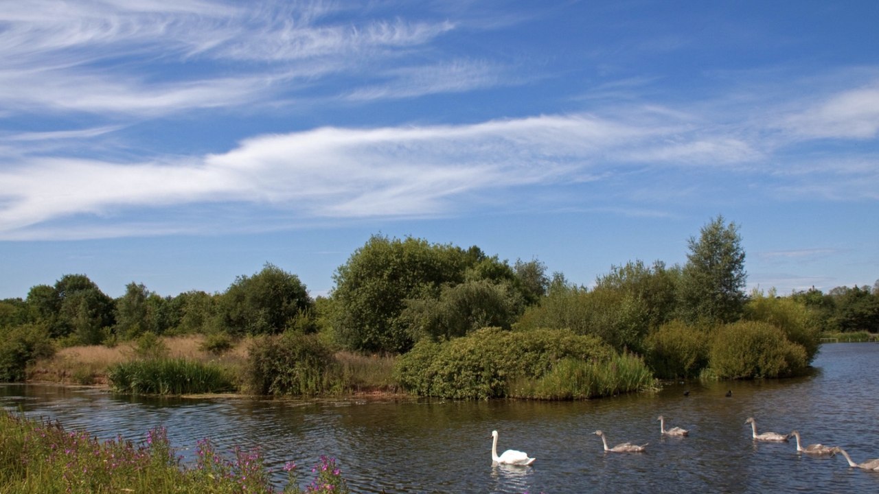West Bromwich woman dies after body recovered from Swan Pool