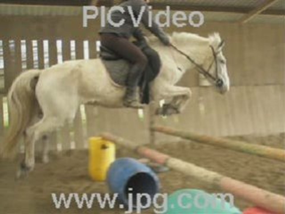 cours du 19 avril 2008