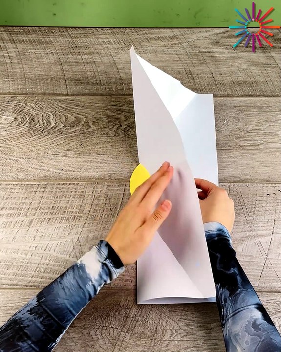 Mind-bending paper illusion you'll love
