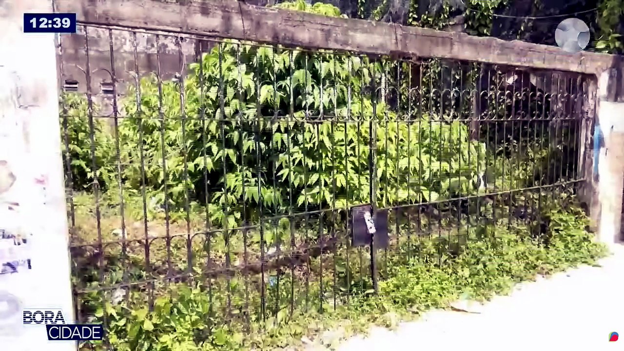 CASO AMANDA LETICIA - JOVEM ENCONTRADA MORTA EM UM TERRENO BALDIO NO BAIRRO DA CREMAÇÃO
