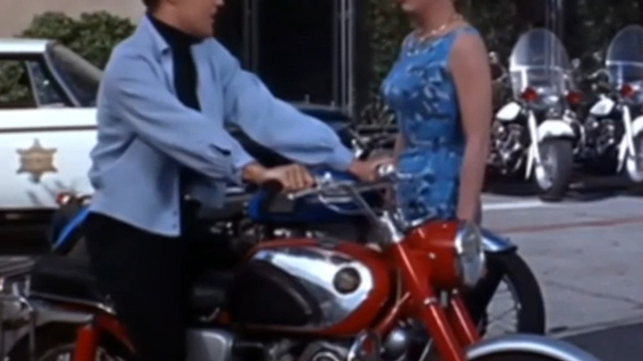 Honda CB 77 | Roustabout (1964)