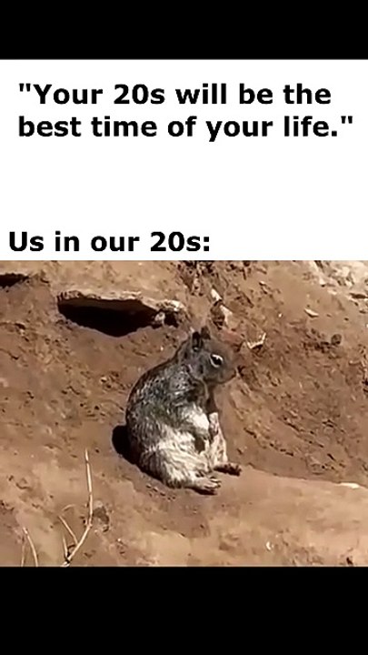 How your 20s actually feel: