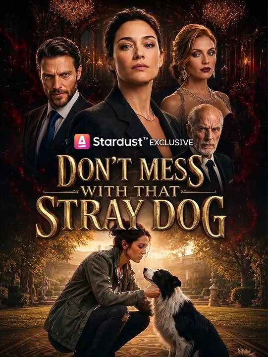 Lass dich nicht mit diesem verlogenen Hund verarschen. | Ganzer Film Deutsch