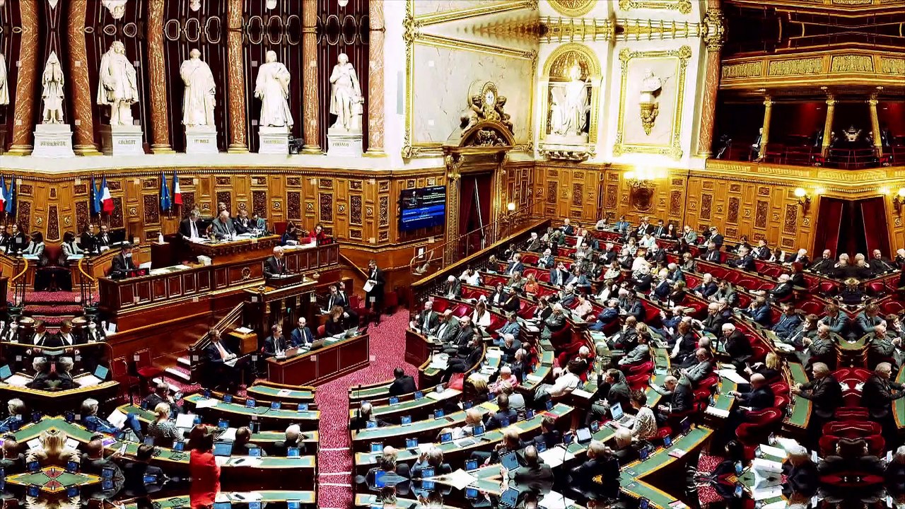 100% Sénat - Le “wokisme”, une menace pour les universités françaises ?