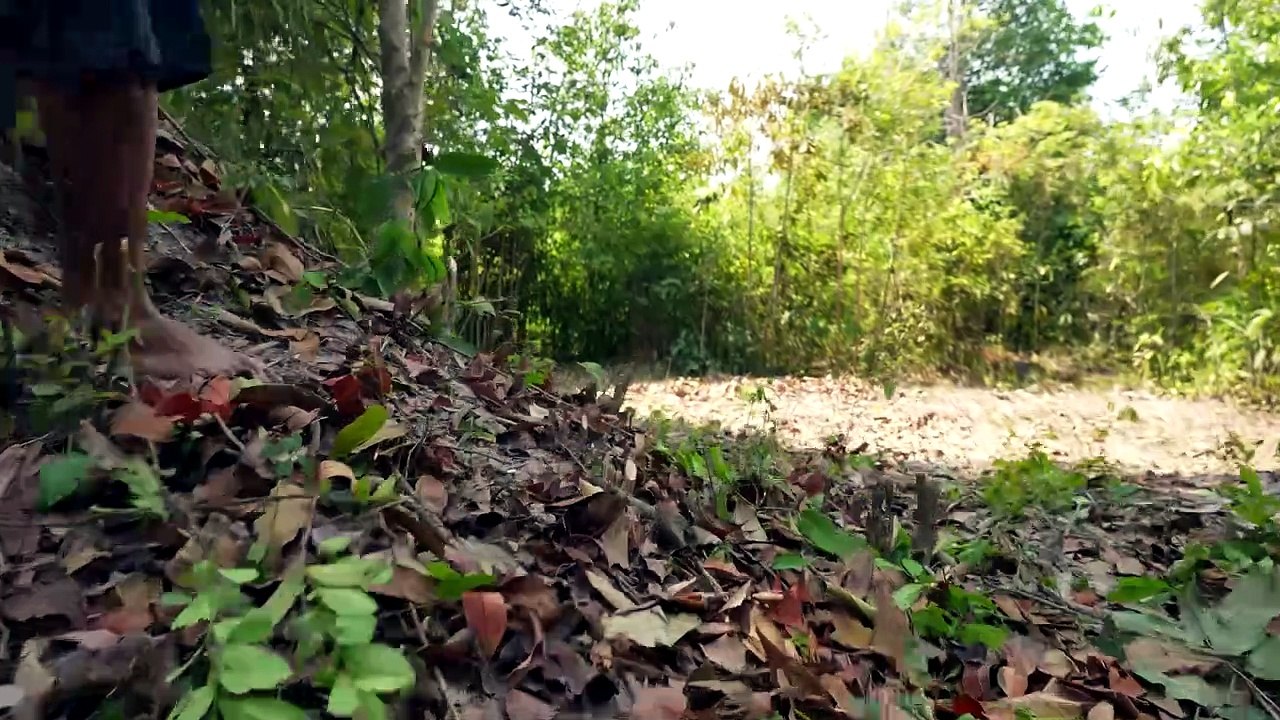 We Built a $20,000 Bamboo House with Private Pools in 68 Days