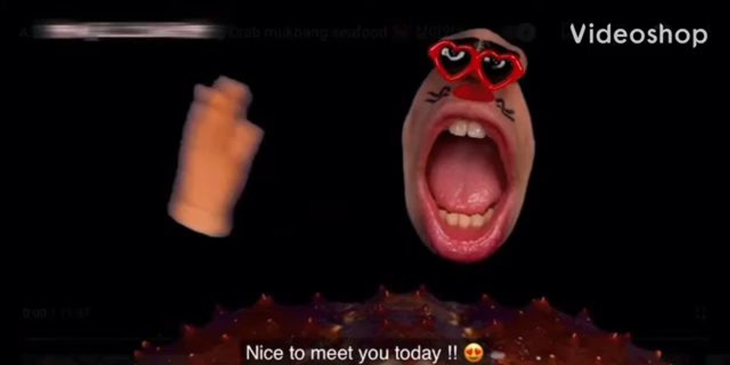 realmouth YTP (Reupload)