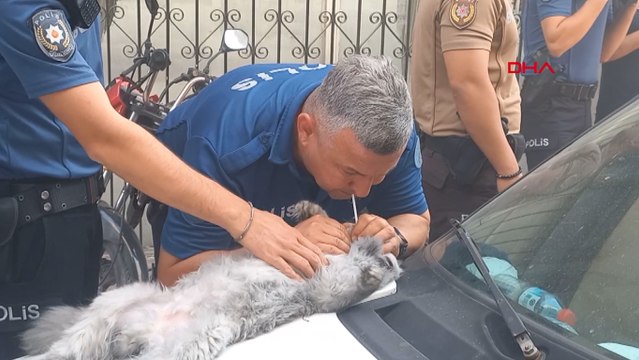 Manisa’da çıkan yangında 3 itfaiye eri yaralandı, 4 kedi öldü
