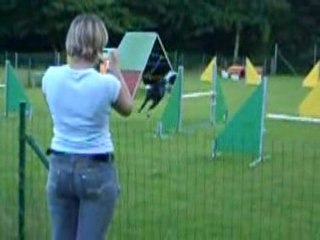 Agility  le 26 juin 2008