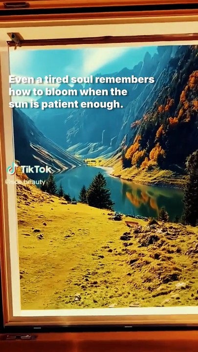 Even a tired soul remembers how to bloom when the sun is patient enough