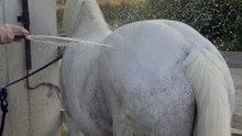 Une pause fraîcheur bien méritée