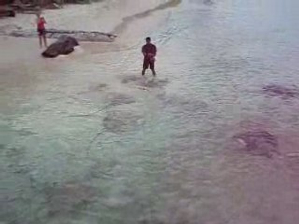 Maldives 2008 Reethi Beach Resort Raies 1