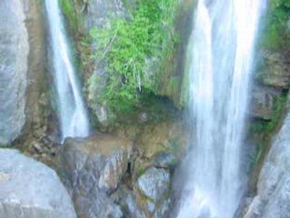 Cascade Lecellutine 1