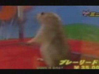 Dramatic Chipmunk Remix Compilation