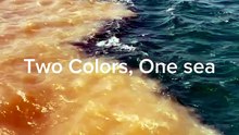 Two Colors, One Sea