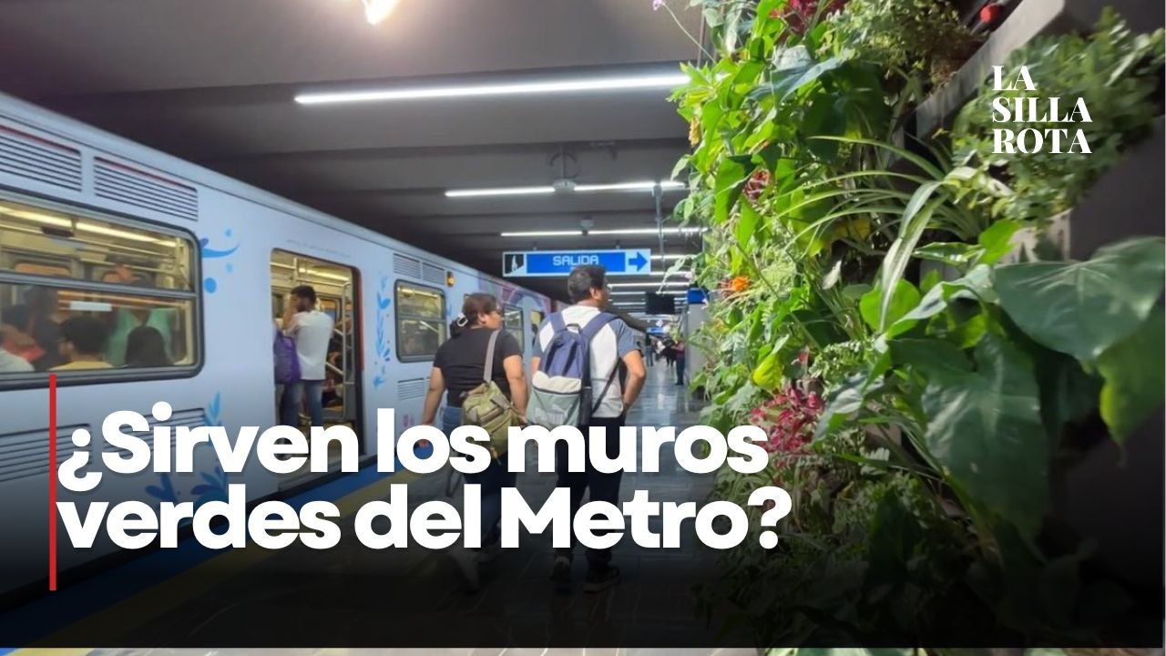 ¿Cuánto costaron los jardines verticales del Metro CDMX? Esto reveló el STC