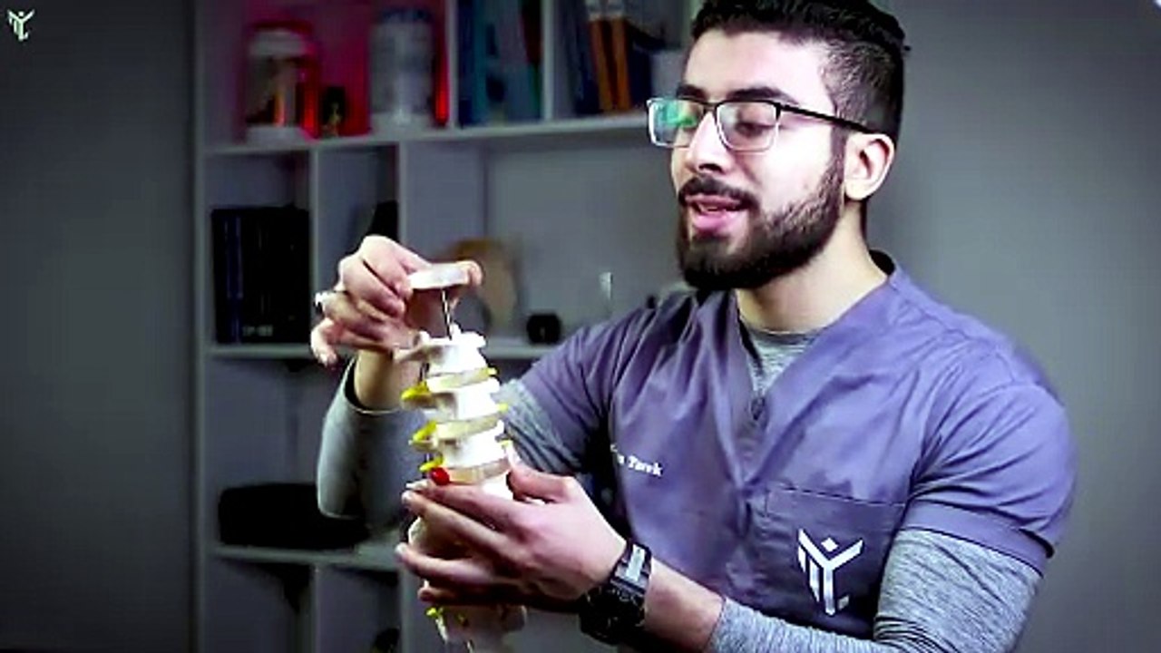 015 - دكتور حازم يوضح أهم أسباب الاصابة بالانزلاق الغضروفي ｜ 3 تمارين لعلاج الديسك - ألم أسفل الظهر
