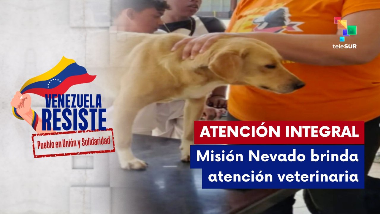 Misión Nevado refuerza atención veterinaria tras terremotos en Venezuela 