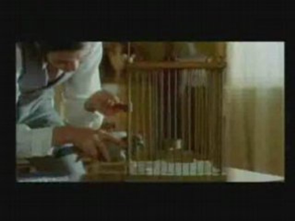 Les pubs des publivores