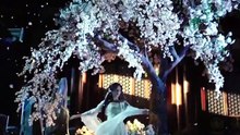 娘娘出身賤奴，上位手段很毒_1 王軒 葉鑫鑫(六金yE)