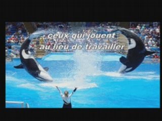 HumOUr AnIMaL ;) lol