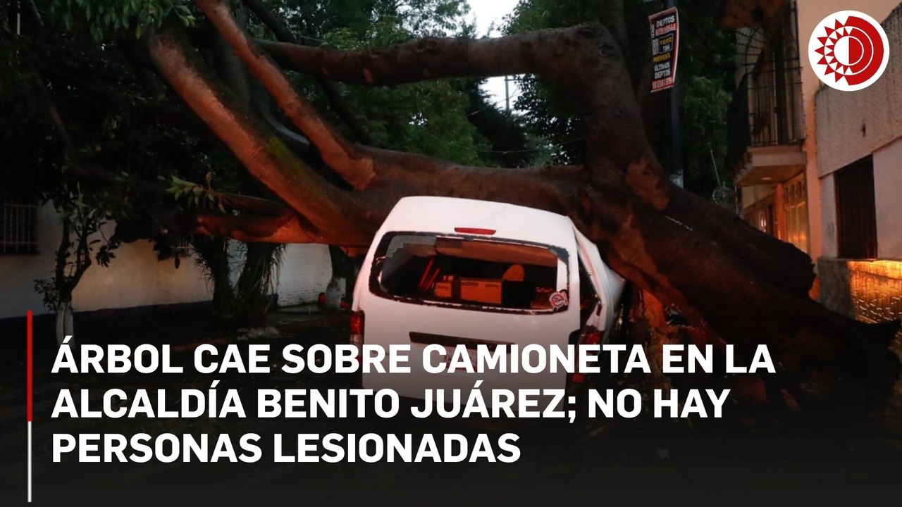 Árbol cae sobre camioneta en la alcaldía Benito Juárez; no hay personas lesionadas